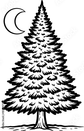 moonlit sentinel natures timeless vigil, etched in graphic serenity, isolated on transparent background