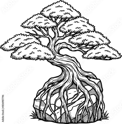 primeval pact roots and rock, an enduring testament to natures unbreakable will, isolated on transparent background