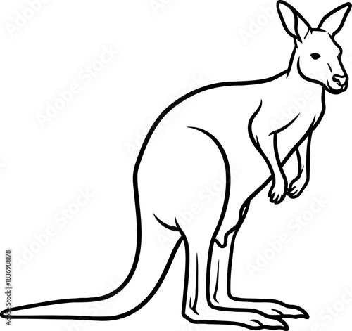 the great leaper an elegant line art rendition of australias most beloved creature, isolated on transparent background
