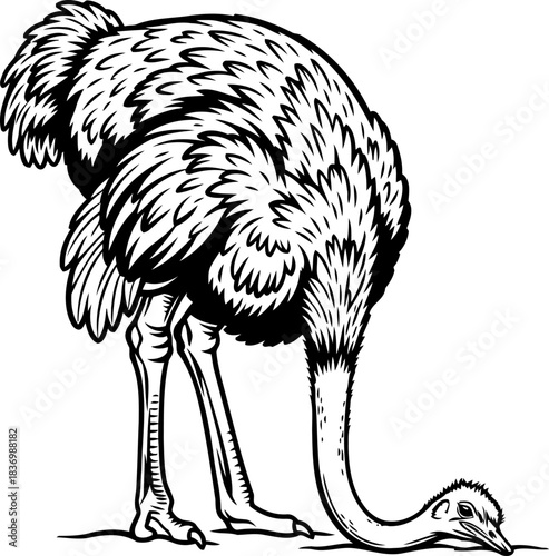 the ostrich strategy a bold metaphor for avoiding uncomfortable truths, isolated on transparent background