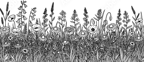 wild bloom symphony an intricate handdrawn ode to natures untamed tapestry, isolated on transparent background