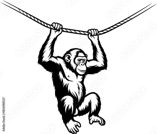 wild instincts unleashed a dynamic graphic capturing primate agility and playful strength, isolated on transparent background