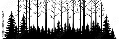 wildwood boundary a silhouette of natures intertwined evergreen steadfastness and seasonal depth, isolated on transparent background