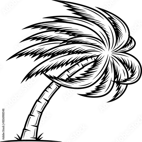 windkissed fronds iconic silhouette of tropical serenity and adventure, isolated on transparent background