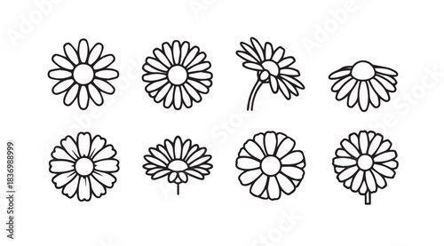 Set of hand drawn daisy flower icons with sketchy outline style and different poses vector