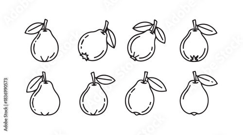Hand drawn sketch collection of delicious pears with leaves simple outline food elements vector