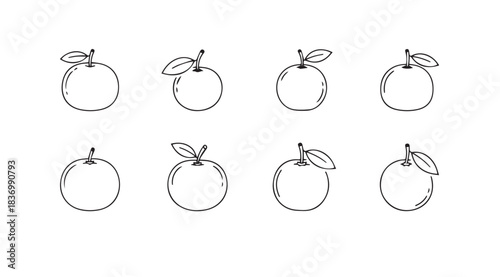 Collection of hand drawn line art oranges with leaves fresh fruit icons simple botanical sketches isolated vector