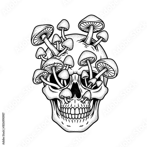 Skull with Mushrooms Growing Out of it Black and White Illustration.