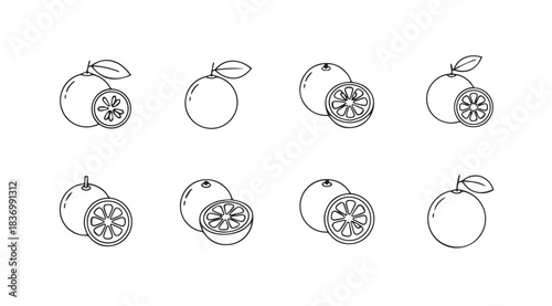 Set of hand drawn guava fruits and slices featuring detailed textures and natural elements vector