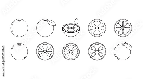 Hand drawn sketch collection of whole and sliced oranges for fresh citrus design elements vector