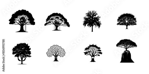 A graphic design featuring eight distinct black tree silhouettes with varied foliage and trunk structures against a clean white backdrop.