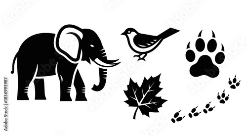 Bold graphic icons capture wild nature's essence with an elephant, bird, paw prints, and leaf for diverse design applications