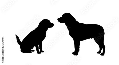 Silhouette image featuring two dogs, one sitting, the other standing, against a white backdrop