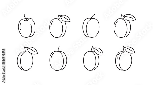 Hand drawn plum fruit set sketch isolated line art outline simple organic food element collection vector