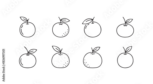 Hand drawn orange fruit collection fresh organic citrus set isolated simple sketch style vector