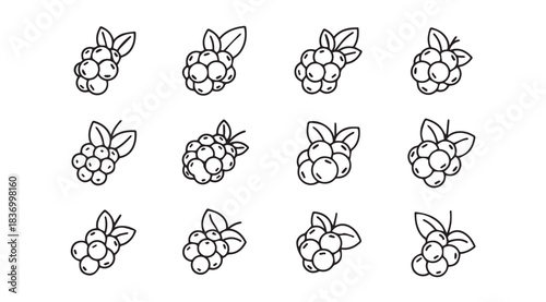 Set of twelve hand drawn raspberry illustrations isolated on white for fresh fruit design vector