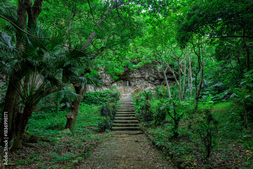  緑に包まれた石垣島の仲間満慶山英極の墓の静かな風景