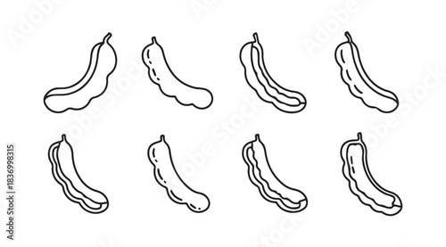 Hand drawn set of tamarind pods diverse shapes organic fruit sketch isolated on white vector
