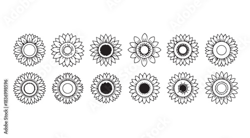 Collection of diverse floral mandala designs for decorative applications and artistic projects vector