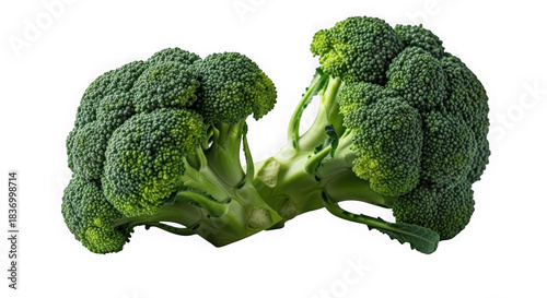 3d fresh broccoli florets realistic render isolated on transparent background