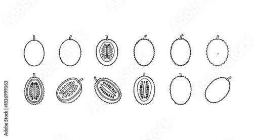 Hand drawn sketch collection of various fruits with seeds isolated on vector