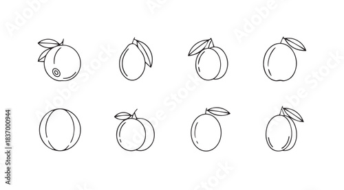 Artistic sketch of eight diverse peaches with leaves offering fresh fruit drawing vector