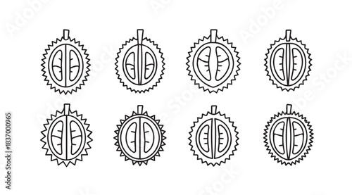 Collection of durian fruit cross sections hand drawn sketch icons isolated on white vector
