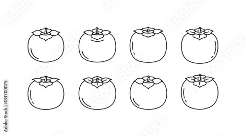 Set of hand drawn persimmon fruit line art isolated on for healthy food design vector
