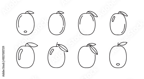 Collection of hand drawn fruits with leaves simple outline sketch style for healthy food concepts vector