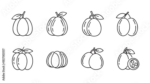 Set of hand drawn pumpkin and guava line art icons simple organic fruit and vegetable graphics vector