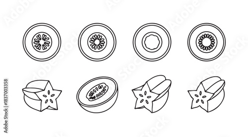 Artistic hand drawn fruit collection featuring melon and starfruit slices and halves vector