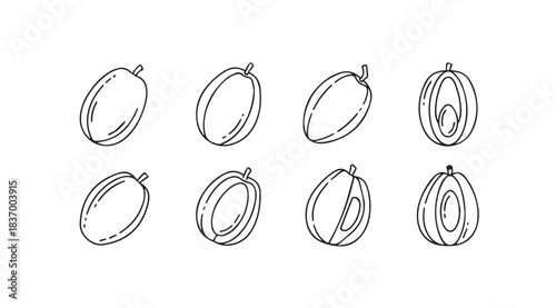 Artistic sketch collection of fresh plums showing different stages of ripeness and preparation vector