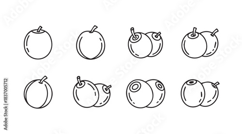 Hand drawn sketches of fresh berries fruit collection isolated abstract art style vector