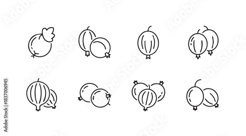 Collection of simple line art gooseberry icons hand drawn style for food and health designs vector