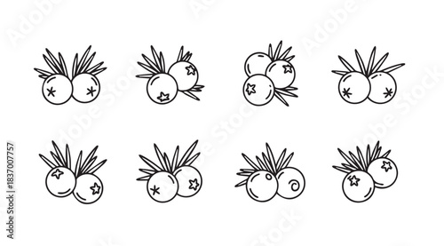 Set of eight sketchy blueberry clusters with twigs and leaves isolated on vector