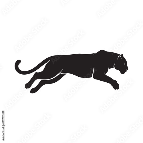 Powerful silhouette of a sleek black panther or puma