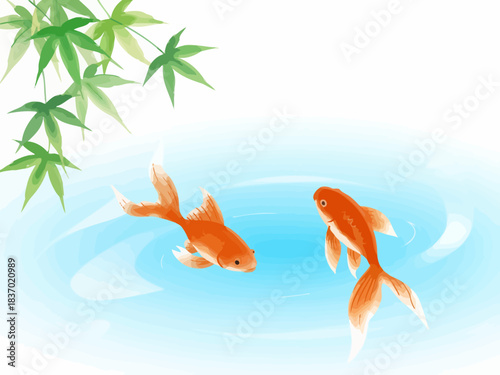 Two golden koi fish swimming in a tranquil pond with maple leaves