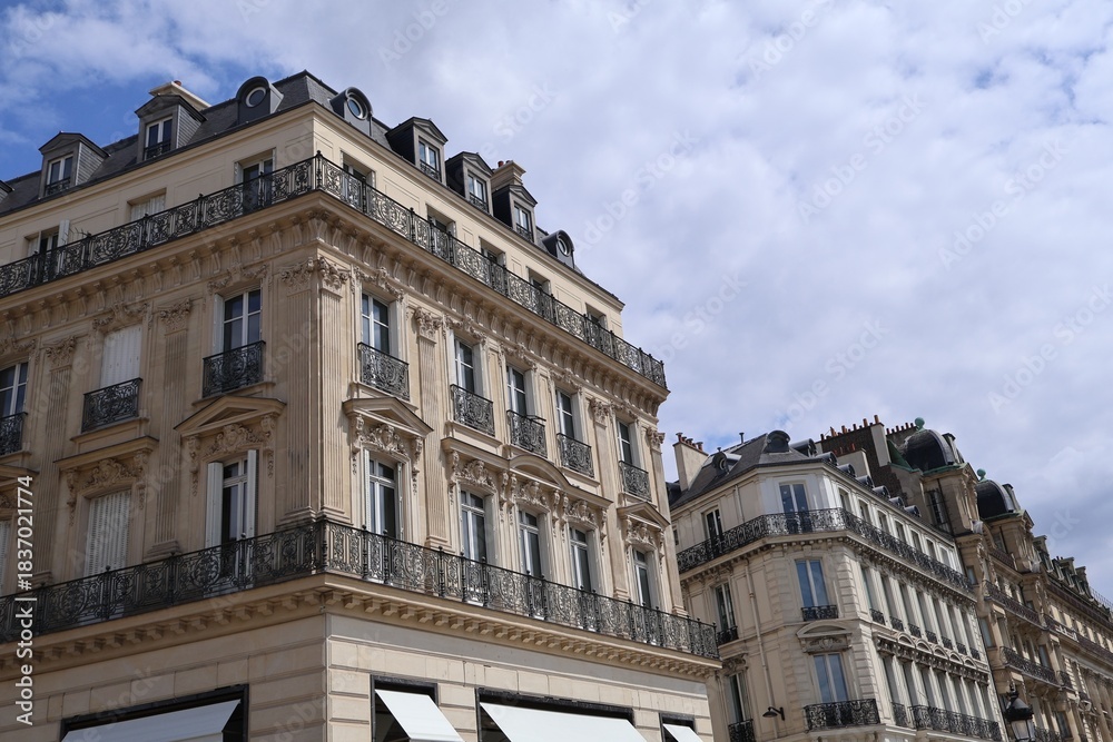 Fototapeta premium Parisian cityscape, Haussmannian architectural style