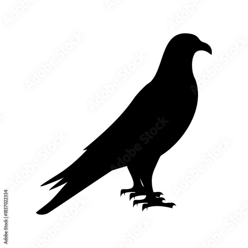 Dramatic silhouette of a bird of prey, standing in watchful anticipation
