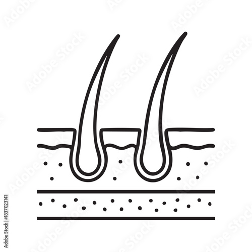 Hair follicle skin layers icon linear vector illustration of hair embedded in skin