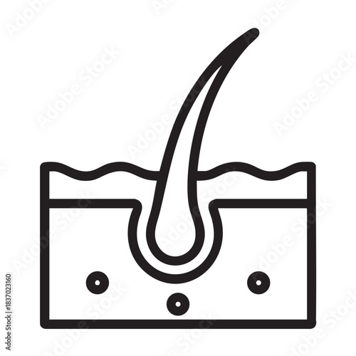 Hair follicle icon line style, human hair anatomy isolated on white background