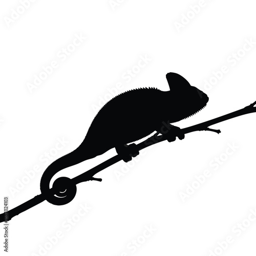Silhouette of a lizard on a branch