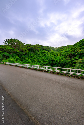  緑あふれる山々と道路が美しい石垣島の自然豊かな風景