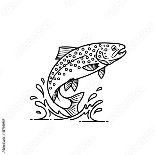 Jumping trout fish monoline illustration black and white on white background