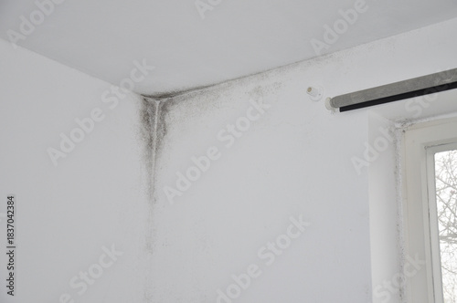 Detailaufnahme Altbau Instandsetzung einer sanierungsbedürftigen Wohnung