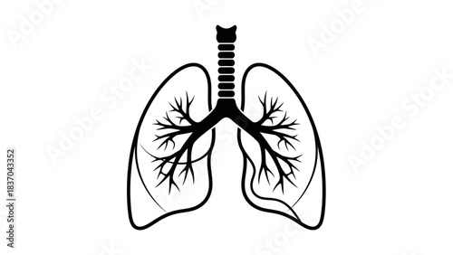 Detailed black and white illustration of the human respiratory system, featuring the lungs, trachea, and bronchial tree.