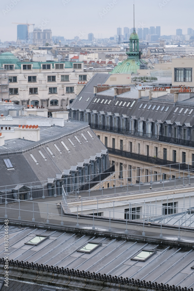 Fototapeta premium arquitetura paris frança vista cidade telhados eiffel