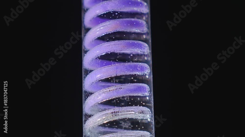 Purple liquid flows down through glass coil. Laboratory experiment against dark background. Research concept.