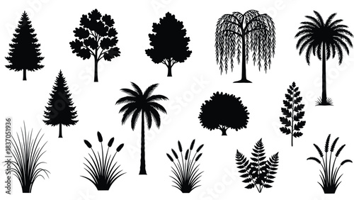 Diverse Black Silhouettes of Trees, Plants, and Grasses