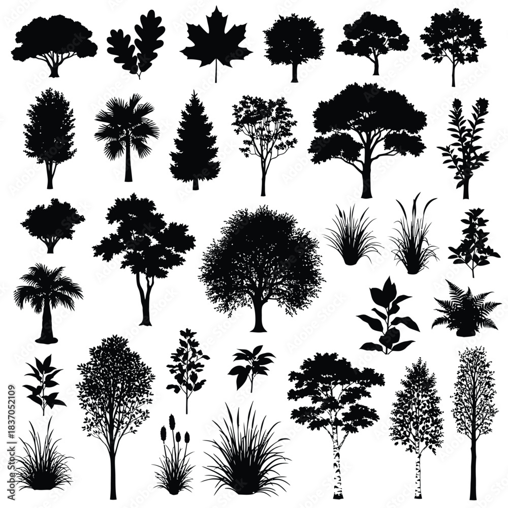 Fototapeta premium Diverse Collection of Tree and Plant Silhouettes tree, silhouette, plant, nature, leaf